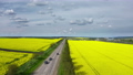 Aerial view of yellow blooming oilseed rape fields 80680687