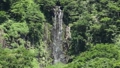 盛夏のアイヨシの滝－国道252号展望地から　福島県只見町 81625405