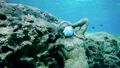 Statue in medicine mask on the bottom of the sea and several fish next to it. 83620840