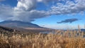 Mt. Fuji time lapse from Lake Yamanaka where Japanese pampas grass is in full bloom 83919831