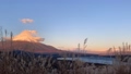 Mt. Fuji time lapse from the land of Japanese pampas grass 83919832