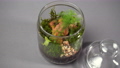 Jar florarium vase with different type of plants inside. 84223104