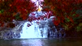 日本日本の秋の風の日本の秋の風景　美しい紅葉と養老渓谷粟又の滝秋の風景　美しい紅葉と養老渓谷粟又の滝 84724274
