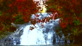 日本日本の秋の風の日本の秋の風景　美しい紅葉と養老渓谷粟又の滝秋の風景　美しい紅葉と養老渓谷粟又の滝 84724276