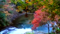 日本日本の秋の風の日本の秋の風景　美しい紅葉と養老渓谷粟又の滝秋の風景　美しい紅葉と養老渓谷粟又の滝 84724277