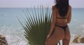 Close-up Rear View of the Female Model in Black Bikini With Palm Leaf on the Stone During Summer Beach Vacation Outdoors 85269444