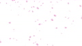 桜吹雪のループアニメーション（白背景） 85306264