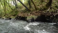 森の下の岩の脇を流れる川 85558024