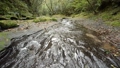A shallow river flowing over the bedrock under the forest 85558026