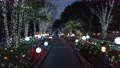 東京都新宿区の繁華街から見た夜の東京の都市景観 85645736
