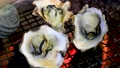 広島県産の牡蠣を炭火で焼く 85695950