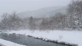【青森県】雪が降り積もる冬の奥入瀬川　柴明渓 85763855
