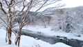 【青森県】雪が降り積もる冬の奥入瀬川 85763856