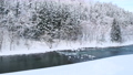 雪が積もった青森県の冬の岩木川 85781996