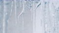 【冬】凍った氷柱から水滴がポタポタと滴る様子 85858581