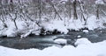 【冬】雪が積もった青森県の奥入瀬川　DCI 4K 85858640