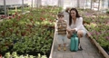 Woman with her son watering plants in a greenhouse 85877372