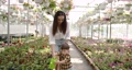 Woman with her son watering plants in a greenhouse 85877410