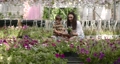 Mom and son spend leisure time in the greenhouse 85877414