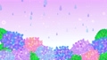 紫陽花と雨空の背景アニメーション	 86417050