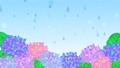 紫陽花と雨空の背景アニメーション	 86417052