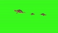 turtles swimming on green screen 87100072