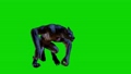werewolf monster attacking on green screen 87100216