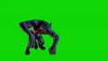 werewolf monster walking on green screen 87100221