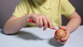 A little child paints an easter egg. 87236532