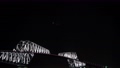 【東京ゲートブリッジの夜景　パン】 88526198