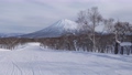 冠雪の羊蹄山を眺めながらゲレンデを滑る (北海道、ニセコ) 88599333