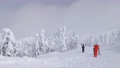樹氷原の滑走コース内から山頂を振り返る (山形県、蔵王温泉スキー場) 88715714