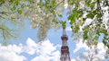 札幌大通公園のテレビ塔とライラック フィクス撮影 89557662