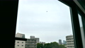 4K recording of a passenger plane flying over central Tokyo from the window of the room 89647264
