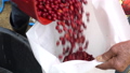 Red cherries coffee beans wet process 90368139