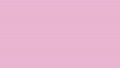 フェアリーピンクの可愛い色のシンプルな背景動画素材　 90373277