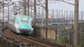福島トンネルを通過するE5系・E6系 91603116