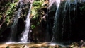 金引の滝は、京都府宮津市滝馬にある滝。京都府で唯一、日本の滝百選に選定されている 92205796