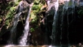 金引の滝は、京都府宮津市滝馬にある滝。京都府で唯一、日本の滝百選に選定されている 92205797