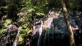 金引の滝は、京都府宮津市滝馬にある滝。京都府で唯一、日本の滝百選に選定されている 92205798