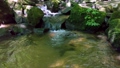 金引の滝は、京都府宮津市滝馬にある滝。京都府で唯一、日本の滝百選に選定されている 92205800