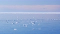 知床、流氷が浮かぶ海 93476092