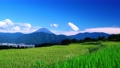 【夏素材】中野の棚田から見る富士山【山梨県】 93761825