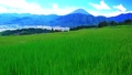【夏素材】中野の棚田から見る富士山【山梨県】 93761828