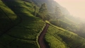 Aerial Drone View of Scenery Road Through Green Mountains Hills and Tea Plantations. Sri Lanka Natural Landscape. 93874322