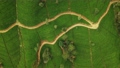Aerial Drone Top View of Scenery Road Through Green Mountains Hills and Tea Plantations. Sri Lanka Natural Landscape. 93874325
