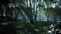 creepy mystic magic deep forest 94075966
