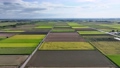 稲の収穫時期を迎えた田畑の空撮風景 94376238