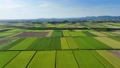稲の収穫時期を迎えた田畑の空撮風景 94376239