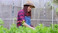 Portrait of happy Asian woman farmer holding basket of fresh vegetable salad in an organic farm in a greenhouse garden, Concept of agriculture organic for health, Vegan food and Small business. 94400635